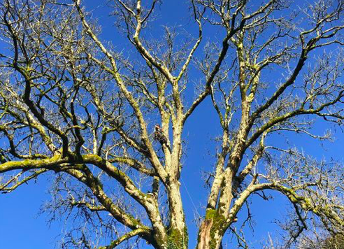 Screenshot 2020 11 18 at 17.52.09